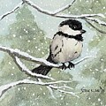 Little Chickadee in the Snow
