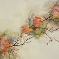 Spring Blossoms
